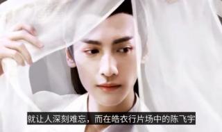 师昧进入楚晚宁的身体