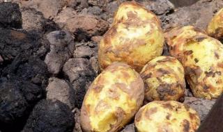 会泽炸洋芋配方 会泽炸洋芋作料配方