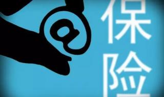 网络预约出租车驾驶员证查询系统 网约车管理系统