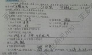 八年级上册寒假作业