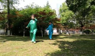 杨式85式太极拳中的合劲怎么做 杨式太极拳85式教学