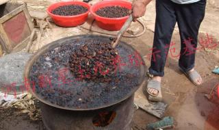 土元真的能养吗利润有那么高吗 土元养殖是真的吗