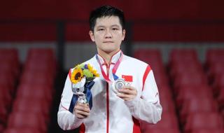 樊振东赢过马龙几次