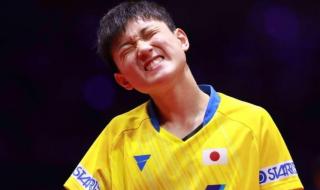 世乒赛男团最新战况